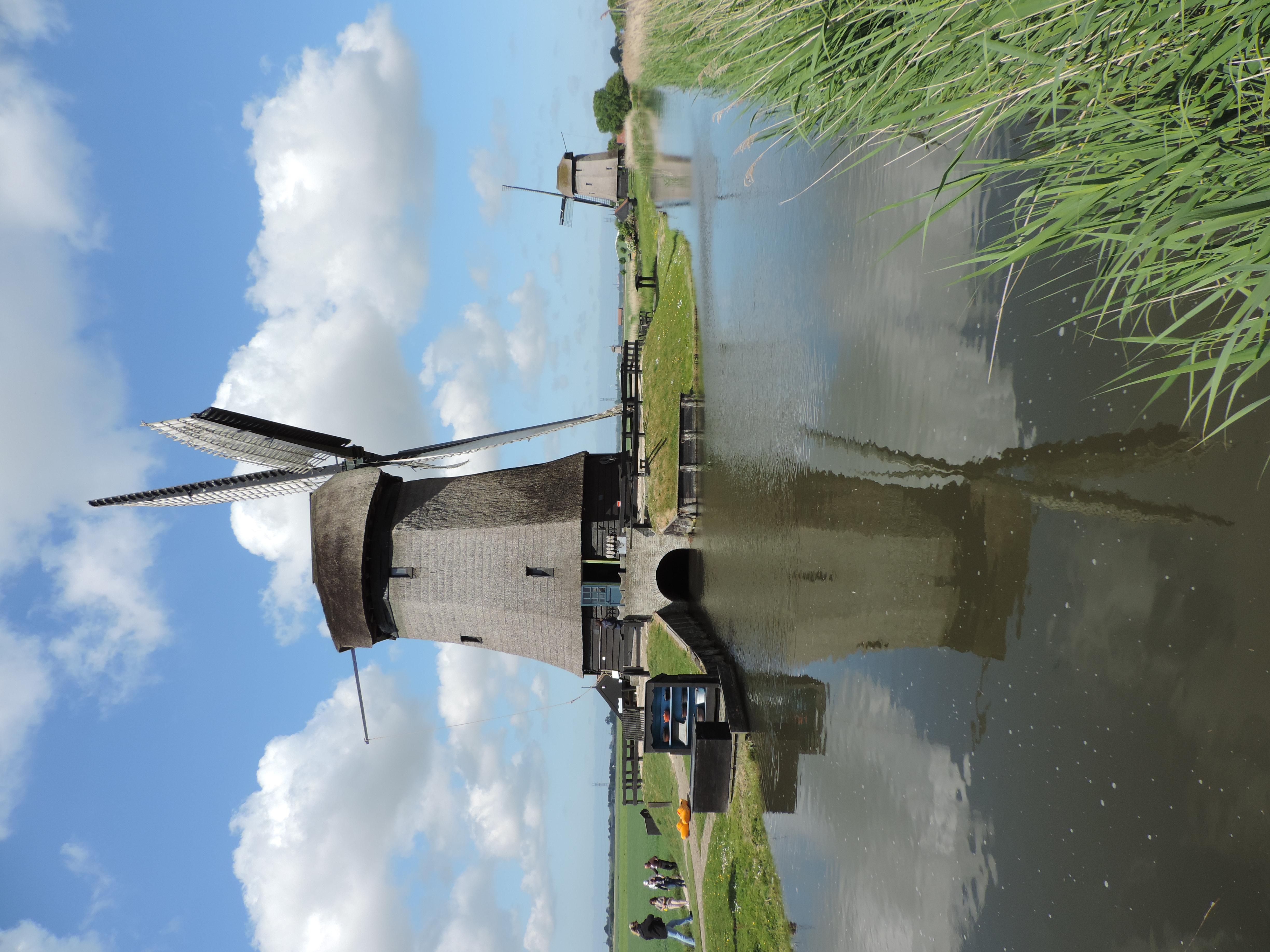 DSCN8432